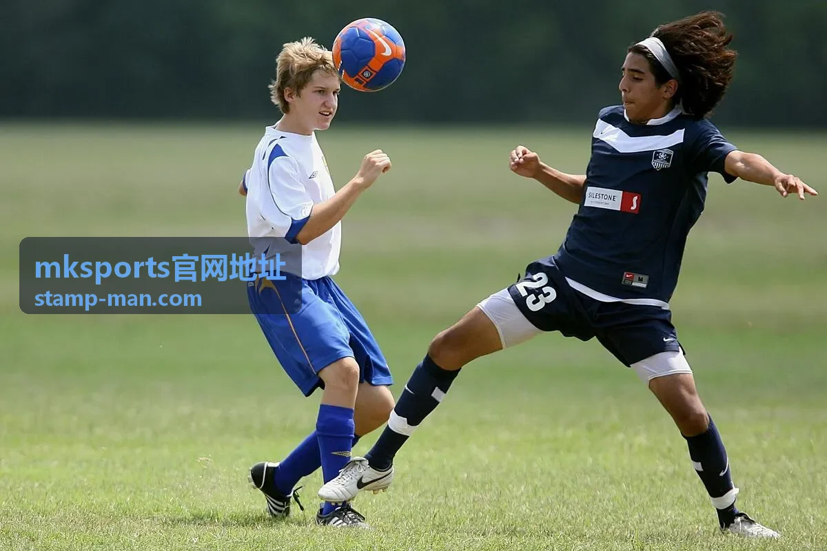 mksports官网地址 官网入口导航页面结构导览图