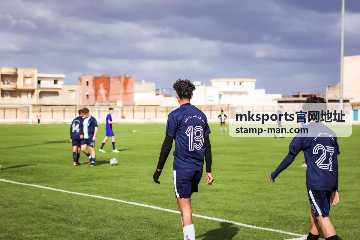 mksports官网地址入口核对说明封面