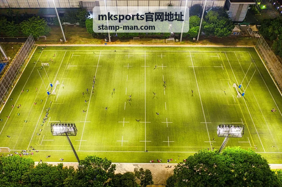 mksports官网地址画质与播放设置封面