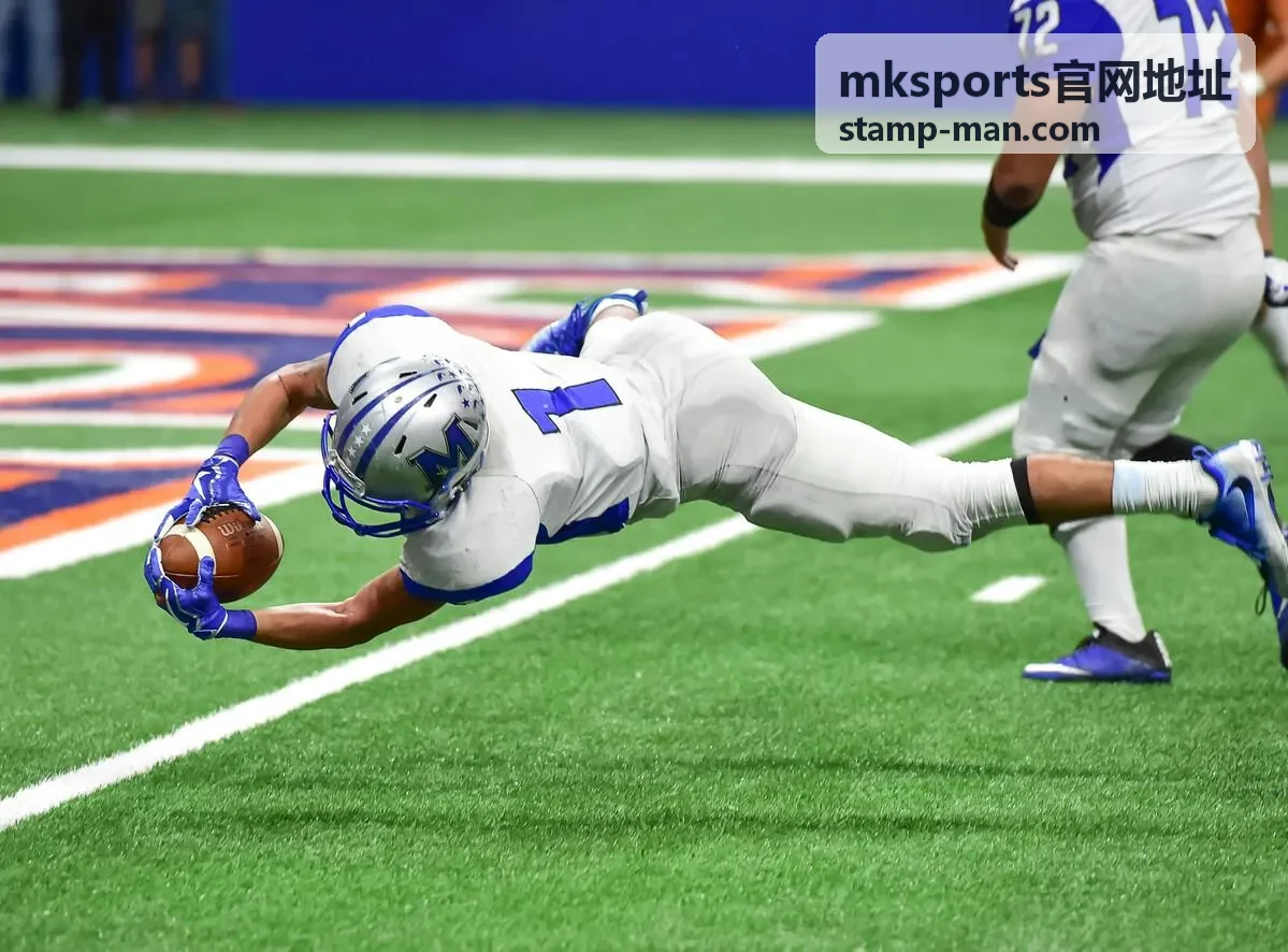 mksports官网地址常见操作问题封面