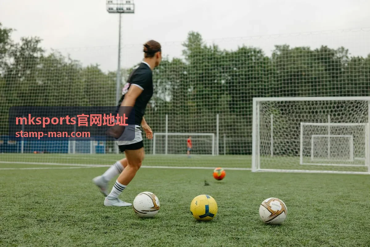 mksports官网地址账号登录步骤封面