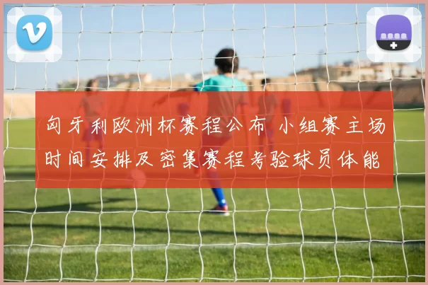 匈牙利欧洲杯赛程公布 小组赛主场时间安排及密集赛程考验球员体能