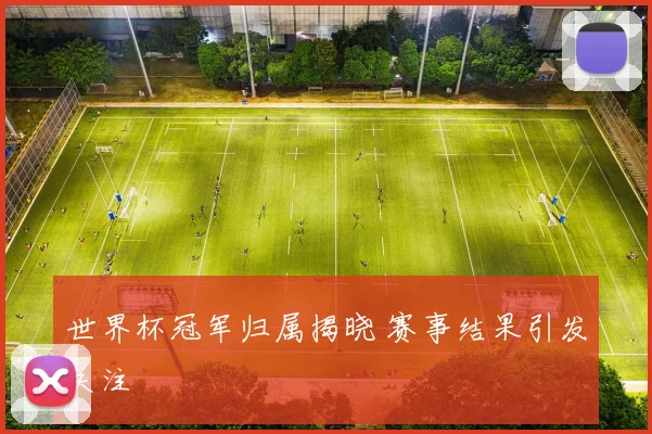 世界杯冠军归属揭晓 赛事结果引发关注