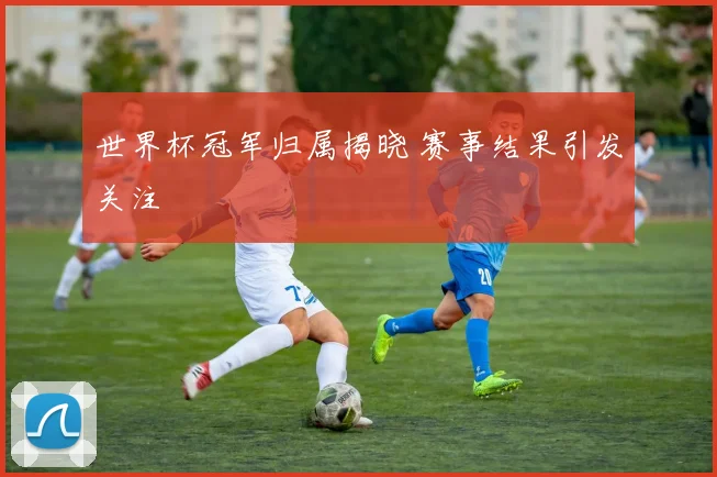 世界杯冠军归属揭晓 赛事结果引发关注